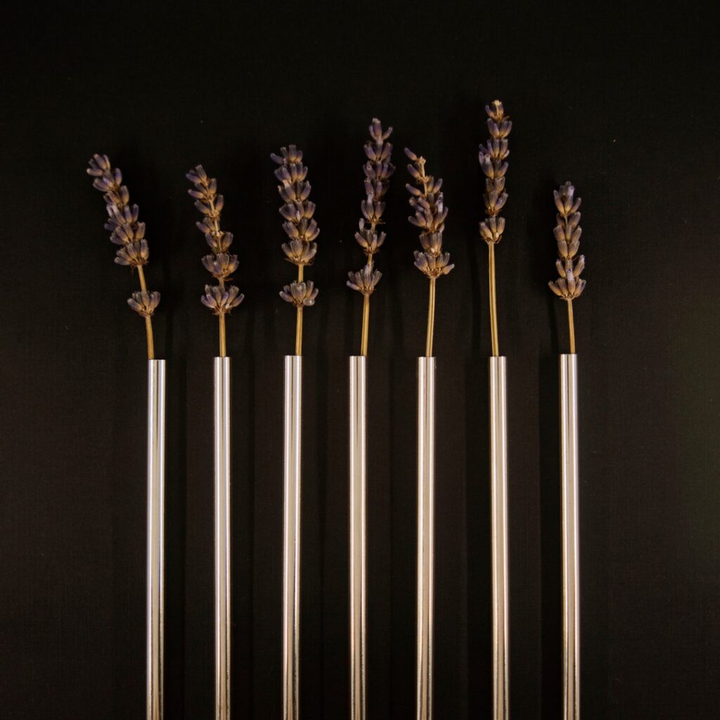 metal straws laid out in a row with plants placed inside each