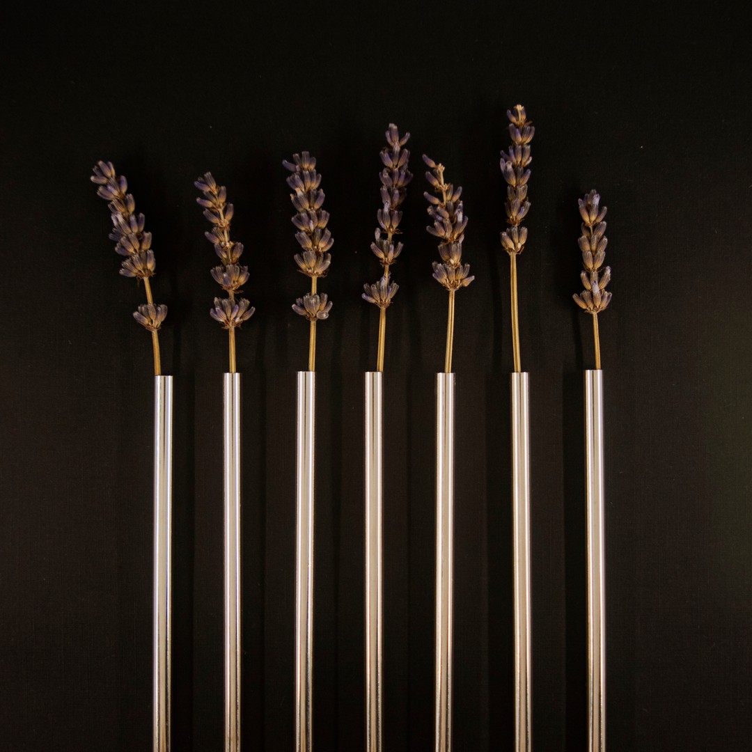 metal straws laid out in a row with plants placed inside each