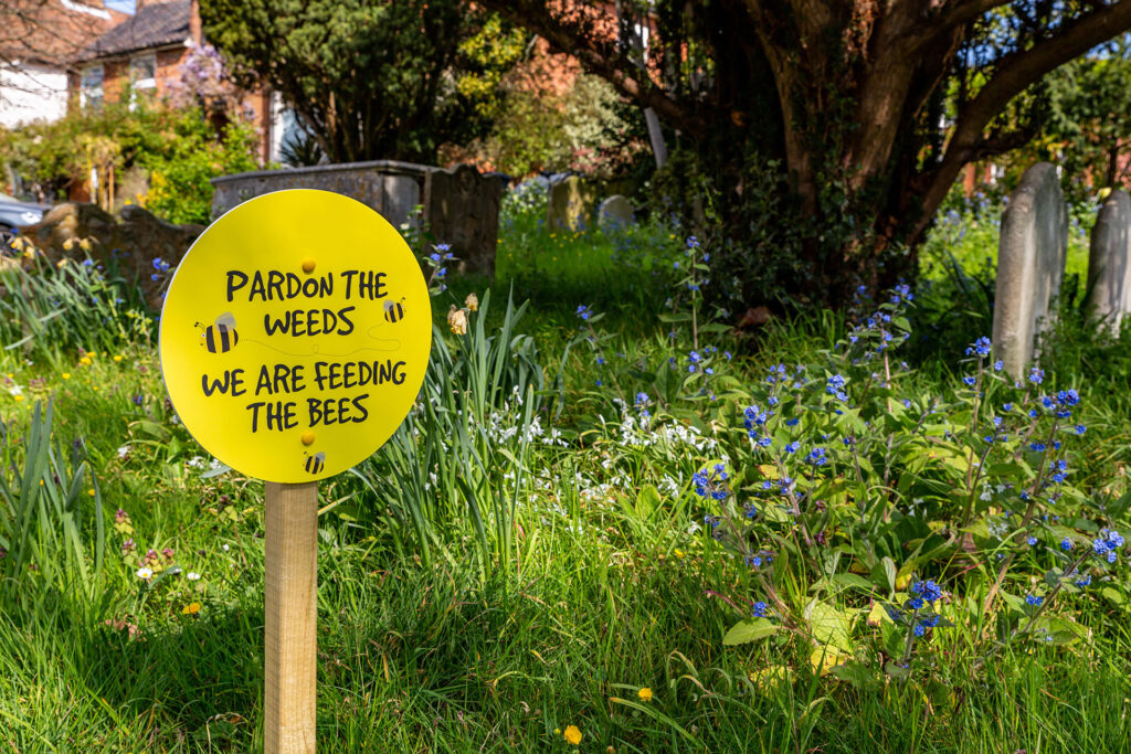 Pardon the weeds, we are feeding the bees sign placed in amongst wild flowers in a church yard