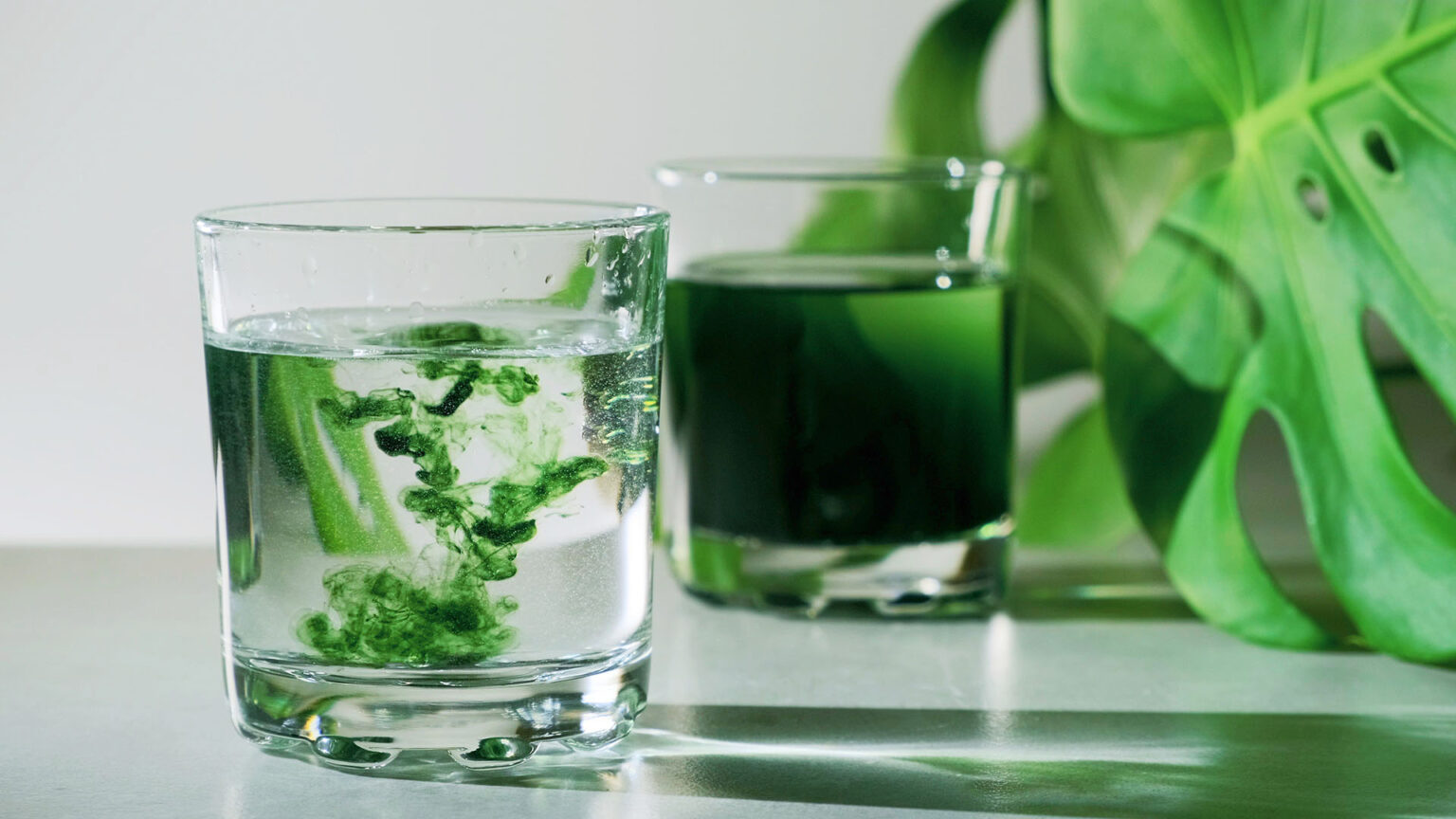Chlorophyll extract is poured in pure water in glass against a w