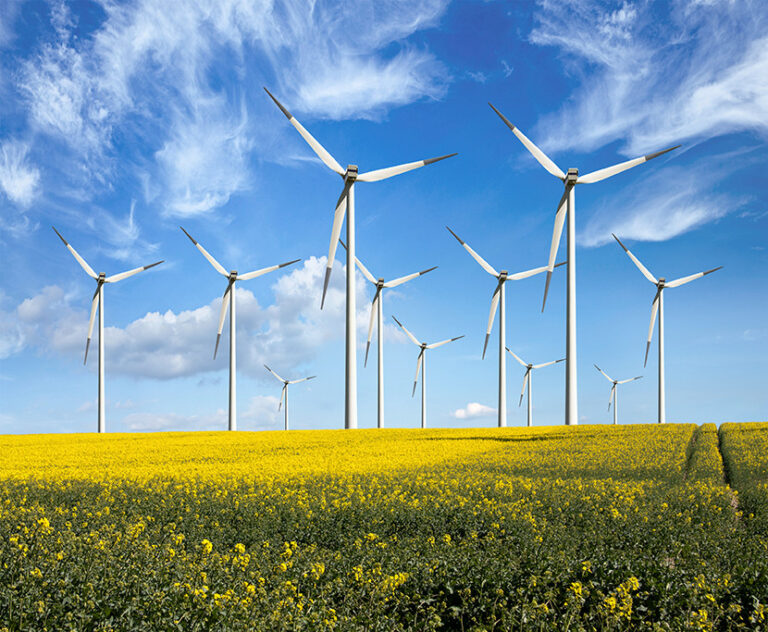 A field of vibrant yellow flowers under a clear blue sky with a lineup of wind turbines harnessing renewable energy in the background.