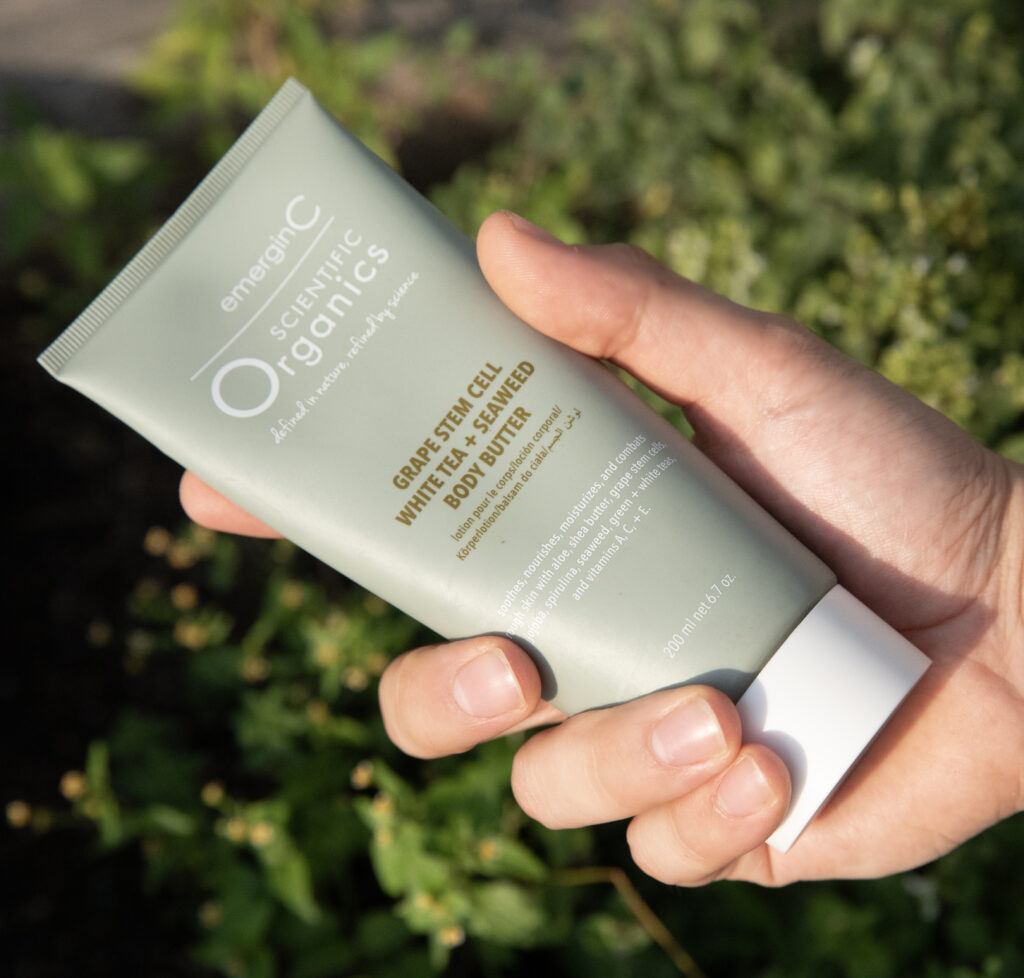 A hand holding a tube of grape stem cell, white tea + seaweed body butter against a natural, leafy background.