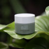 A jar of Phytocell Detox Mask nestled amidst lush green leaves, highlighting its natural and organic essence.