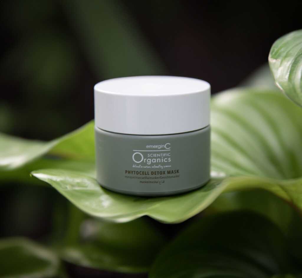A jar of Phytocell Detox Mask nestled amidst lush green leaves, highlighting its natural and organic essence.