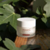 A jar of Stemology protocell bio-active stem cell combat cream nestled among lush green leaves, bathed in natural sunlight.