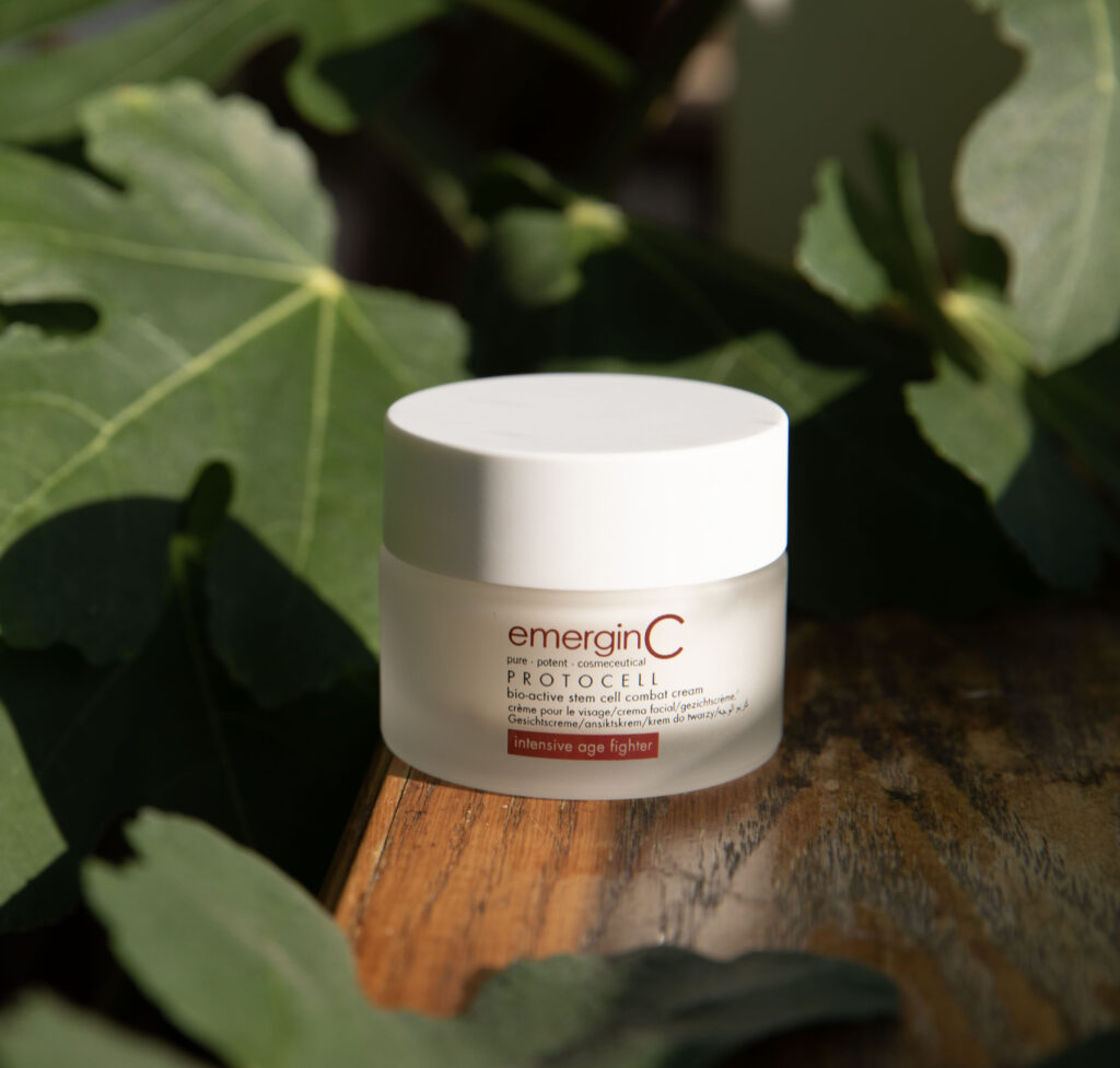 A jar of Stemology protocell bio-active stem cell combat cream nestled among lush green leaves, bathed in natural sunlight.