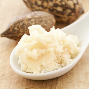 A close-up of shea butter on a spoon with shea nuts in the background.