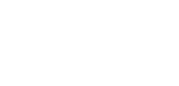 An elegant black and white logo featuring a stylized salamander with the word salamander underneath.
