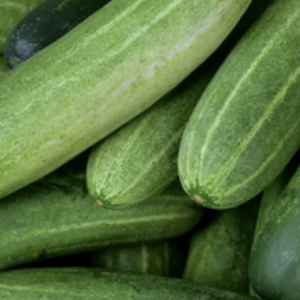 A pile of fresh green cucumbers with visible stripes and textures, indicating ripe and healthy produce.