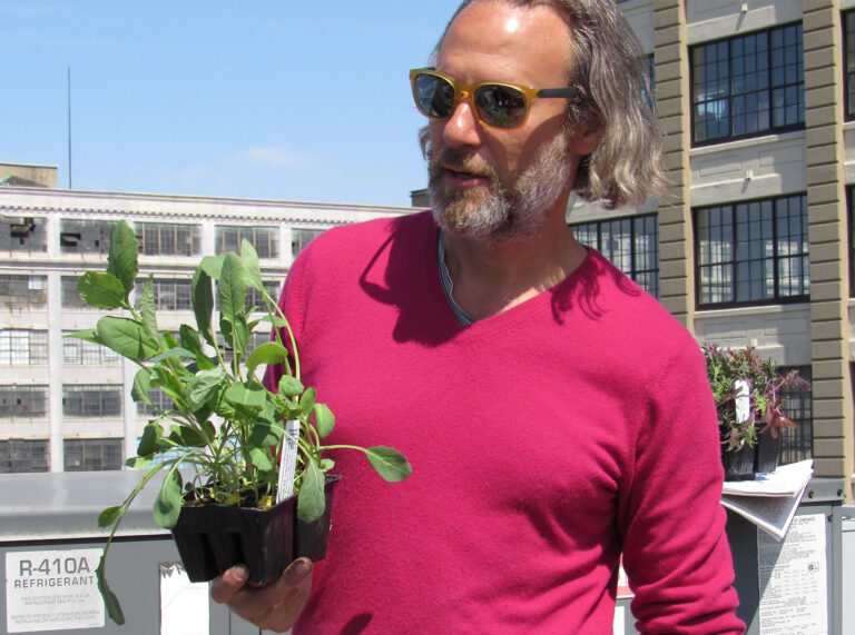 Ian holding plant on rooftop garden