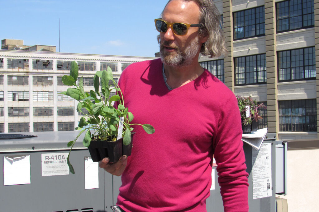 Ian Lirenman in the Brooklyn rooftop garden